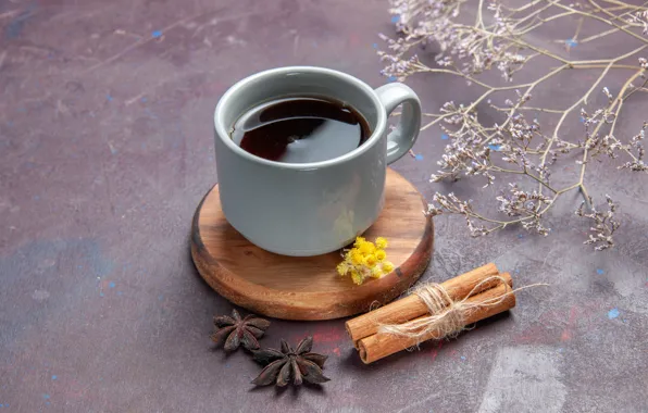 Picture sprig, background, coffee, rope, mug, Cup, cinnamon, grey background