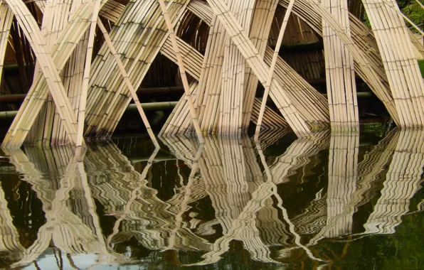 Water, reflection, widescreen, Wallpaper, bamboo, wallpaper, widescreen, background
