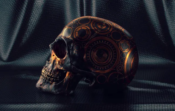 Patterns, skull, teeth, material, Skull Study
