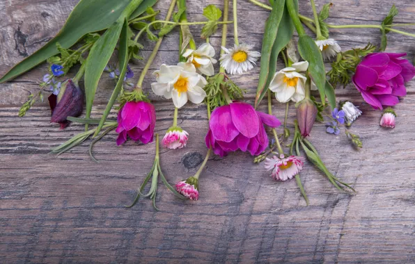 Flowers, bouquet, spring, colorful, tulips, buds, wood, pink