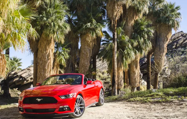 Mustang, Ford, Mustang, Ford, Convertible, 2014