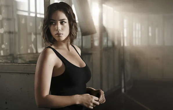 Picture frame, Mike, brunette, hairstyle, the series, agent, TV Series, Chloe Bennet