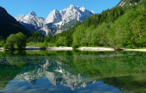 Forest, mountains, nature, lake