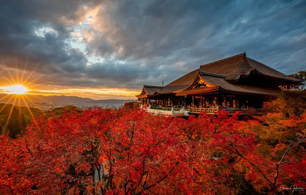 Japan, Japan, Kyoto, Kiyomizu-dera Temple, autumn trees