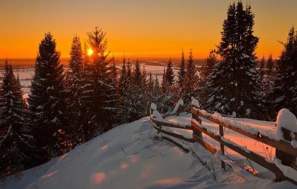 Winter, forest, the sky, snow, trees, sunset, the fence, fence