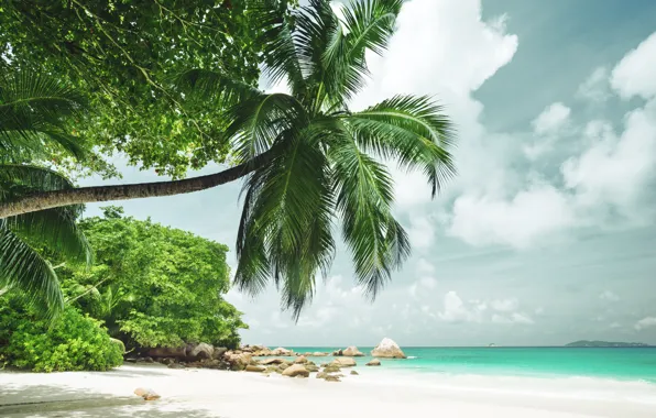 Sand, sea, beach, nature, the ocean, summer, beach, sea
