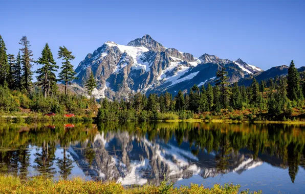 Forest, trees, mountains, lake, reflection, Mountain Shuksan, The cascade mountains, Washington State