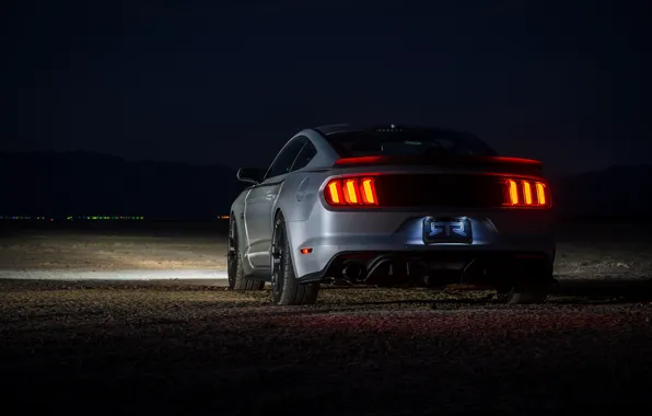 Picture Style, twilight, Ford Mustang, rear view, RTR, 2017