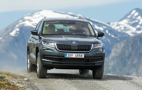 Picture snow, tops, SUV, Skoda, Skoda, 2016, Kodiaq