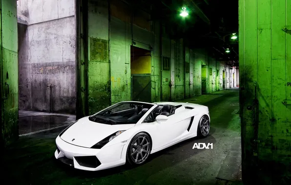 Picture gallardo, lamborghini, spider, spyder, Lamborghini, Gallardo