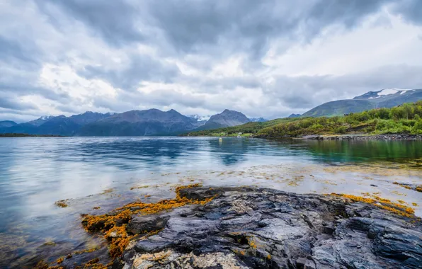 Forest, the sky, clouds, lake, stones, hills, shore, the slopes