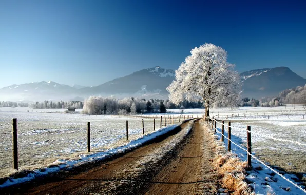 Picture winter, road, field, snow, tree, the fence