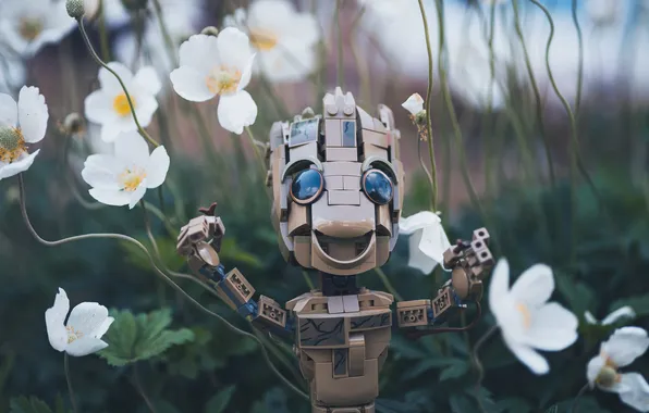 Eyes, look, joy, flowers, smile, glade, toy, robot