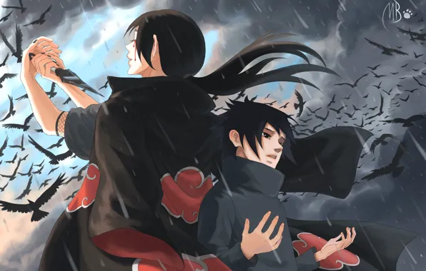 itachi uchiha crows wallpaper