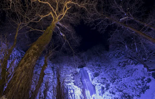 Picture winter, night, river, tree, waterfall