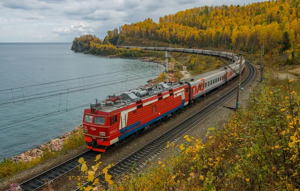 Picture autumn, forest, the sky, water, clouds, landscape, lake, train