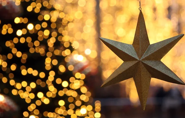 Light, decoration, lights, tree, New year, Christmas star