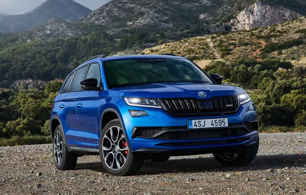 Skoda, Kodiaq, 2019, Kodiaq RS