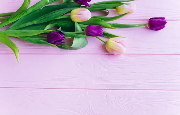 Flowers, tulips, pink, fresh, wood, pink, flowers, beautiful