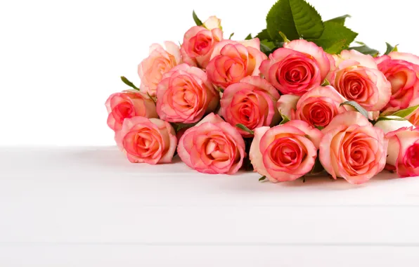 Wallpaper bouguet, bouquet, background, white, roses, roses, buds