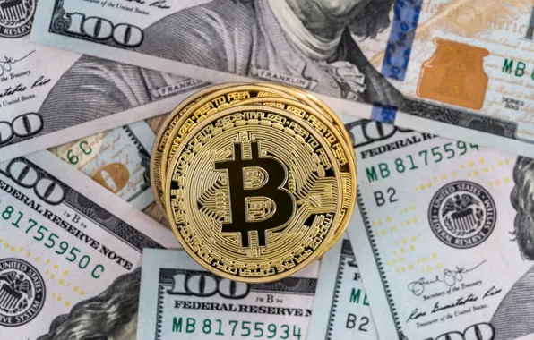 Close-up, money, coins, dollars, currency, the bucks, bokeh, banknotes