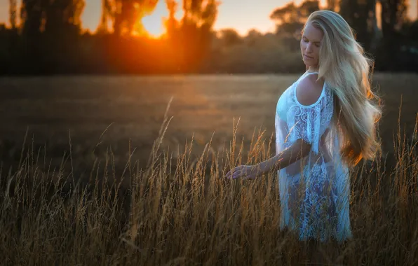 Field, sunset, mood, blonde