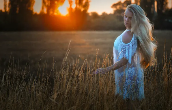 Picture field, sunset, mood, blonde