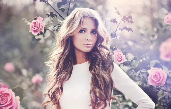 Look, girl, roses, beautiful