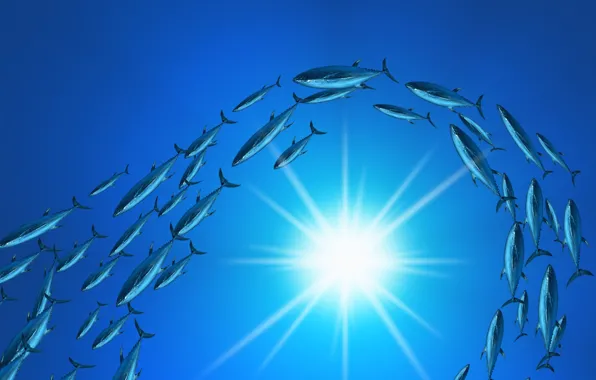 The sun, blue, fish, Cant