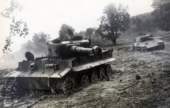 Picture Tiger, War, Panther, Ukraine, WWII, Tanks, Black and white, The great Patriotic war