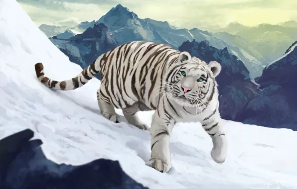 Picture Figure, Tiger, Snow, Animals