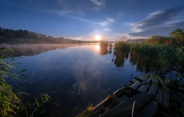 Forest, summer, the sky, reflection, river, dawn, morning, Russia