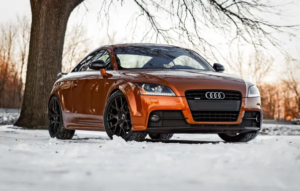 Audi, Orange, S-Line