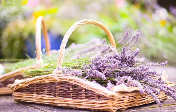 Picture glare, Flowers, bouquet, basket, lavender