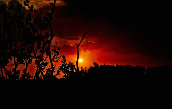 Picture the sun, clouds, trees, sunset, silhouette