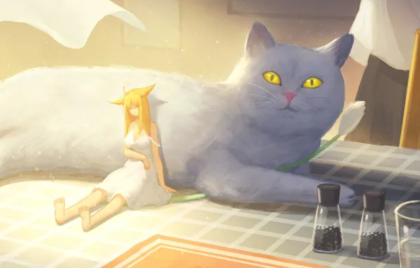 Cat, girl, table, ears, noodles, tiny, a glass of water