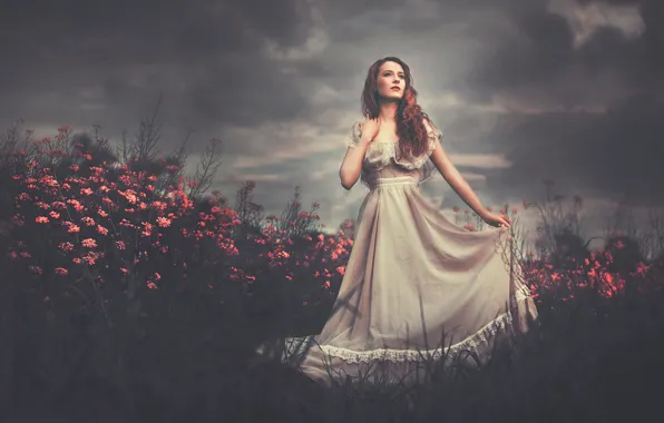 Picture field, girl, flowers, dress, Echoes of the Heart