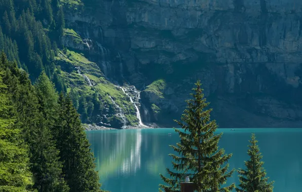 Trees, lake, Switzerland, ate, Switzerland, Bernese Alps, The Bernese Alps, lake Asinense