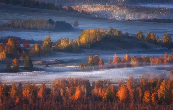 Autumn, forest, light, trees, nature, fog, hills, view