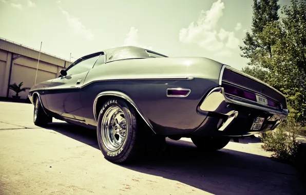 Dodge, Challenger, photo, photographer, muscle car, markus spiske, oldtimer