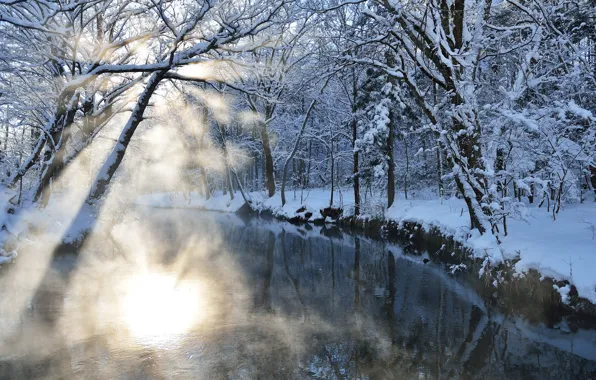 Winter, rays, light, snow, nature, river, Blik