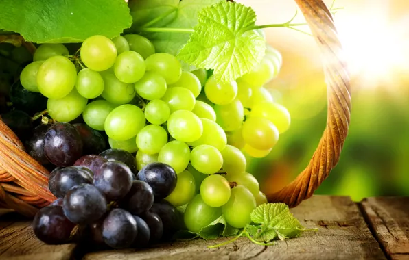 Picture leaves, the sun, glare, basket, berry, grapes, bunches