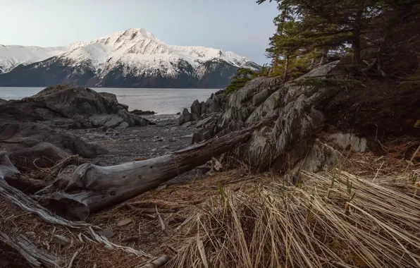 Picture Alaska, United States, Anchorage