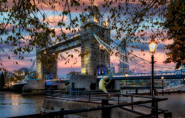 Picture branches, bridge, the city, river, dawn, England, London, building