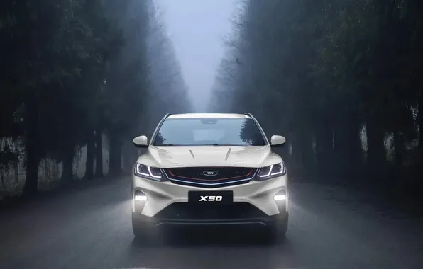 Picture crossover, Belgee X50, five-door, Belgee, X50