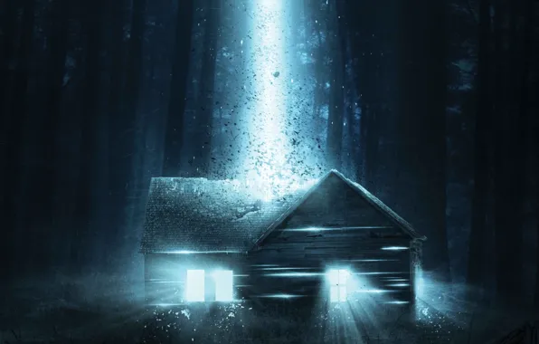 Forest, House, Fiction, A beam of light
