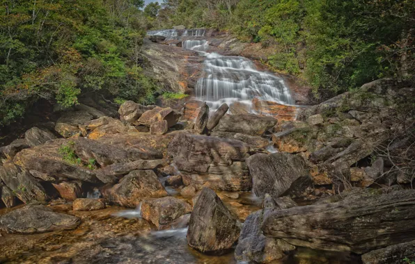 Forest, stones, USA, river, North Carolina