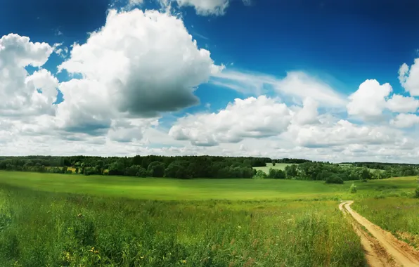 Greens, field, the sky, clouds, nature, green, trail, track