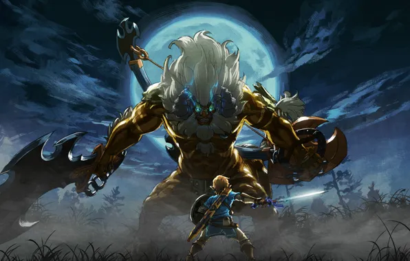 Picture Nintendo, Game, Link, The Legend Of Zelda: Breath Of The Wild, TheVideoGamegallery.com