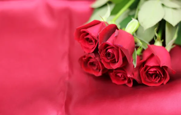 Background, roses, Flowers, bouquet, Fabric